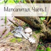 Материнский капитал. Часть 1.