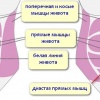 Диастаз мышц живота