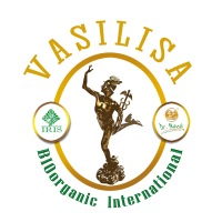 Центр Холстики "Vasilisa"